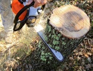 cutting wood with saw